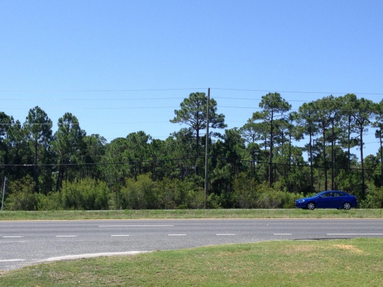 Miramar Beach, Florida 32550, ,Commercial for Sale,For Sale,US HIGHWAY 98,732220