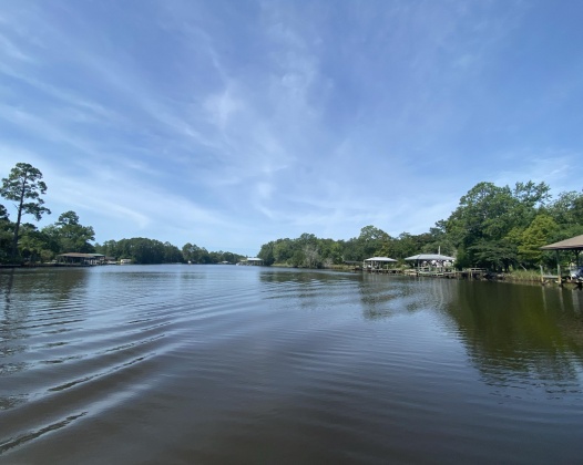 Freeport, Florida 32439, ,Land,For Sale,BAYOU FOREST,817055