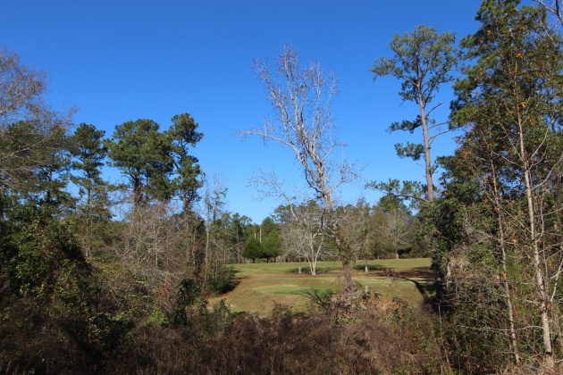 Crestview, Florida 32536, ,Land,For Sale,Fairway,788458