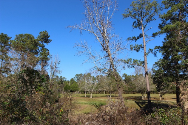 Crestview, Florida 32536, ,Land,For Sale,Fairway,788458