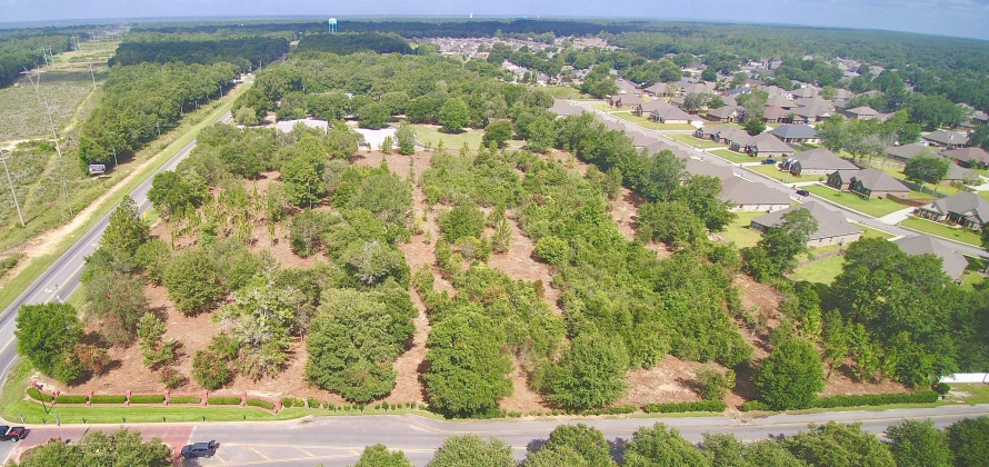 Pace, Florida 32571, ,Commercial for Sale,For Sale,Berryhill Rd,790872