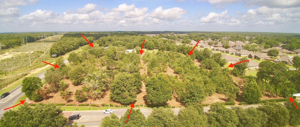 Pace, Florida 32571, ,Commercial for Sale,For Sale,Berryhill Rd,790872