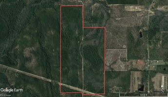 Defuniak Springs, Florida 32433, ,Land,For Sale,Norwood Rd.,794661