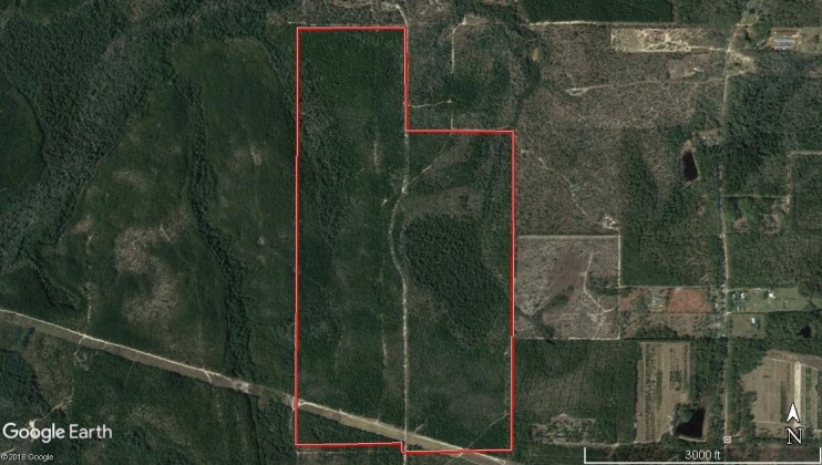 Defuniak Springs, Florida 32433, ,Land,For Sale,Norwood Rd.,794661