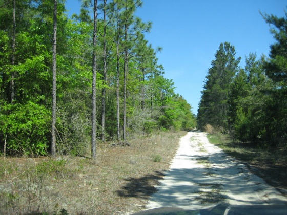 Defuniak Springs, Florida 32433, ,Land,For Sale,Norwood Rd.,794661