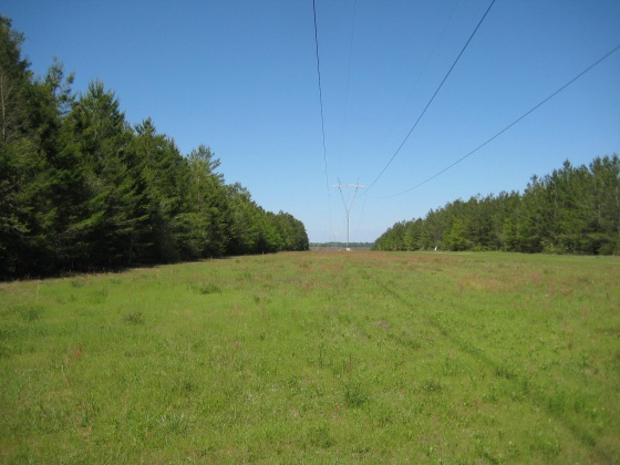 Defuniak Springs, Florida 32433, ,Land,For Sale,Norwood Rd.,794661