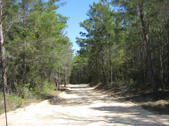 Defuniak Springs, Florida 32433, ,Land,For Sale,Norwood Rd.,794661
