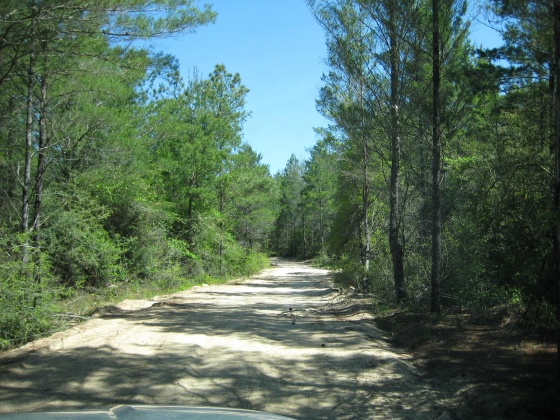 Defuniak Springs, Florida 32433, ,Land,For Sale,Norwood Rd.,794661