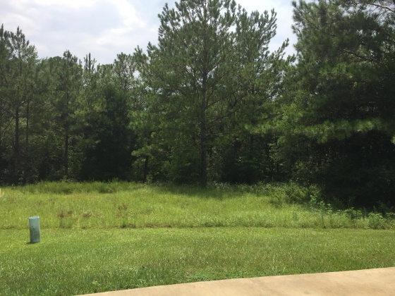 Freeport, Florida 32439, ,Land,For Sale,Marsh,735728