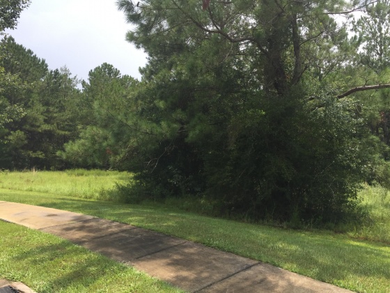Freeport, Florida 32439, ,Land,For Sale,Marsh,735728