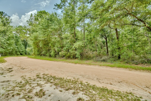 Ponce De Leon, Florida 32455, ,Land,For Sale,Blue Creek,826765