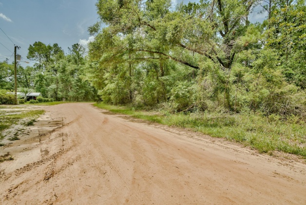 Ponce De Leon, Florida 32455, ,Land,For Sale,Blue Creek,826765