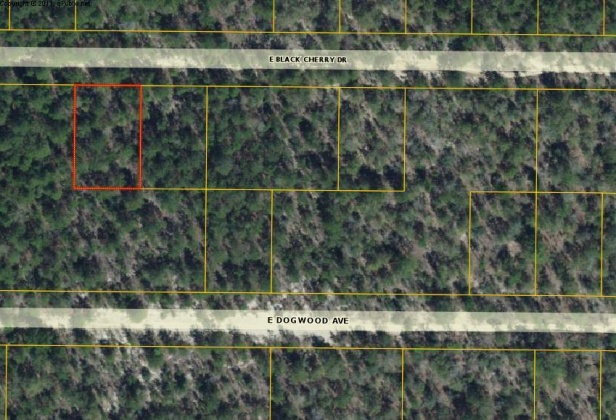 Defuniak Springs, Florida 32433, ,Land,For Sale,Black Cherry,829273