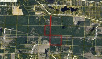 Defuniak Springs, Florida 32433, ,Land,For Sale,Mae's,810079