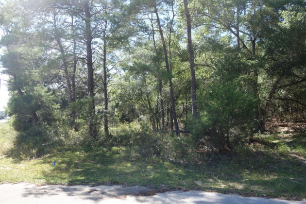 Freeport, Florida 32439, ,Land,For Sale,State Hwy 20,827558