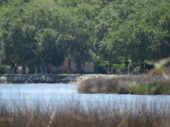 Freeport, Florida 32439, ,Land,For Sale,Cross Creek,797057