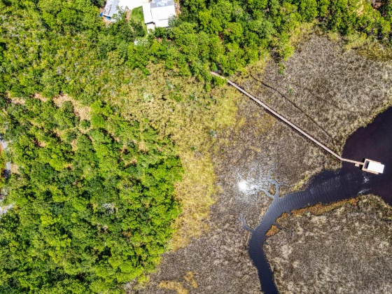 Freeport, Florida 32439, ,Land,For Sale,Cross Creek,797057