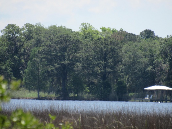 Freeport, Florida 32439, ,Land,For Sale,Cross Creek,797057