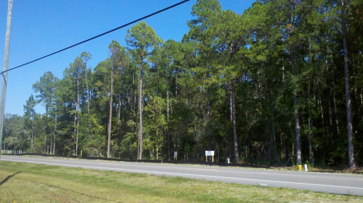Freeport, Florida 32439, ,Commercial for Sale,For Sale,US Highway 331 South,757815