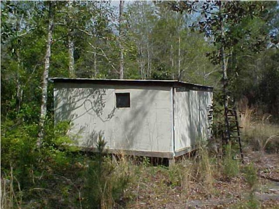 Defuniak Springs, Florida 32433, ,Land,For Sale,Near inter of 183B & 1883,781268