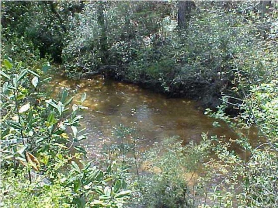 Defuniak Springs, Florida 32433, ,Land,For Sale,Near inter of 183B & 1883,781268