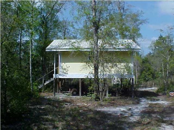 Defuniak Springs, Florida 32433, ,Land,For Sale,Near inter of 183B & 1883,781268