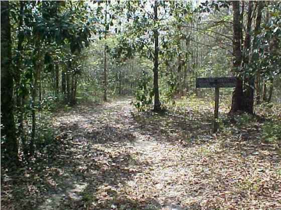Defuniak Springs, Florida 32433, ,Land,For Sale,Near inter of 183B & 1883,781268