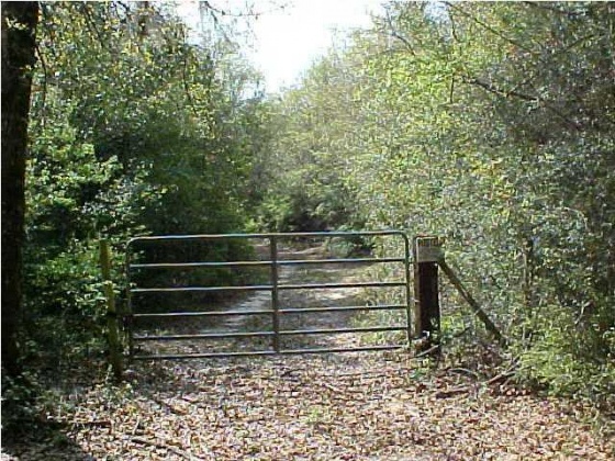 Defuniak Springs, Florida 32433, ,Land,For Sale,Near inter of 183B & 1883,781268