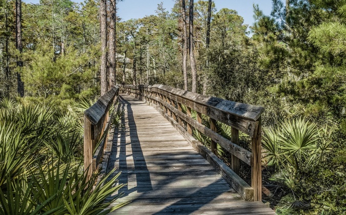 Santa Rosa Beach, Florida 32459, ,Land,For Sale,Cypress,794620