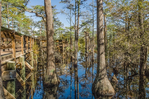 Santa Rosa Beach, Florida 32459, ,Land,For Sale,Cypress,794620