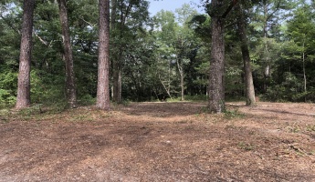 Freeport, Florida 32439, ,Land,For Sale,Tubbs,835071