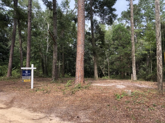 Freeport, Florida 32439, ,Land,For Sale,Tubbs,835071
