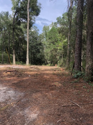 Freeport, Florida 32439, ,Land,For Sale,Tubbs,835071