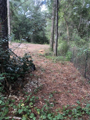 Freeport, Florida 32439, ,Land,For Sale,Tubbs,835071