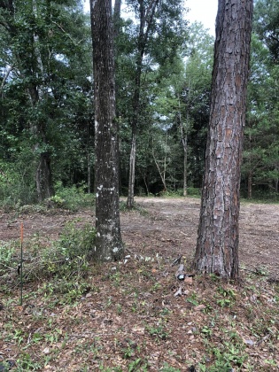 Freeport, Florida 32439, ,Land,For Sale,Tubbs,835071