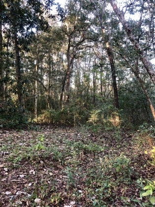 Freeport, Florida 32439, ,Land,For Sale,Tubbs,835071
