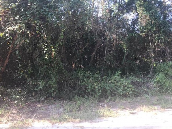 Santa Rosa Beach, Florida 32459, ,Land,For Sale,McDowell,783550