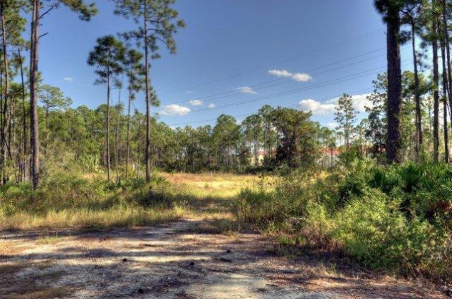 Santa Rosa Beach, Florida 32459, ,Commercial for Sale,For Sale,Sandestin,703390