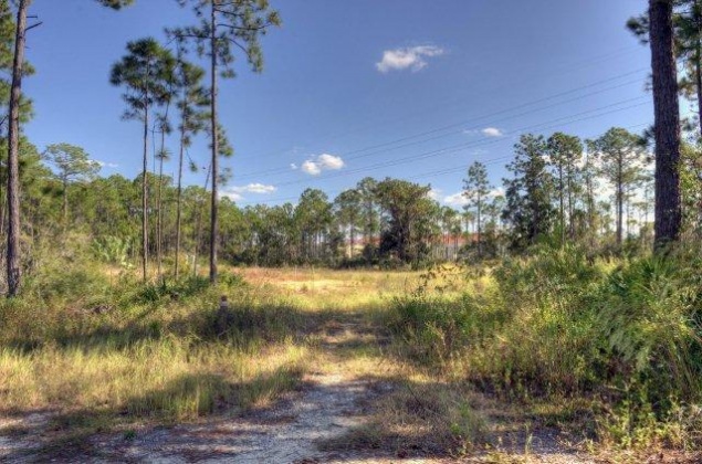 Santa Rosa Beach, Florida 32459, ,Commercial for Sale,For Sale,Sandestin,703390