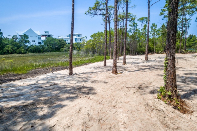 Santa Rosa Beach, Florida 32459, ,Land,For Sale,Lakewood,836842