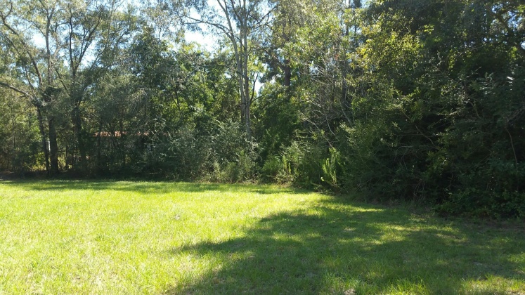 Defuniak Springs, Florida 32433, 3 Bedrooms Bedrooms, ,2 BathroomsBathrooms,Residential,For Sale,FL-83,828529