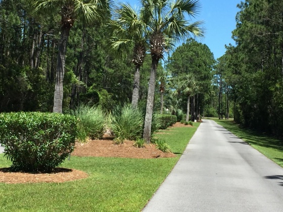 Freeport, Florida 32439, ,Land,For Sale,Sunset Harbour,784155