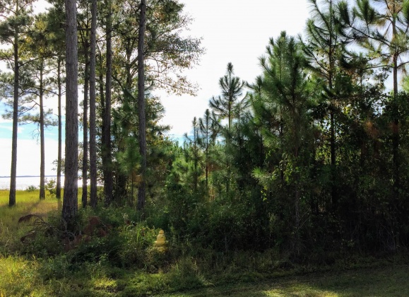 Freeport, Florida 32439, ,Land,For Sale,Sunset Harbour,784155