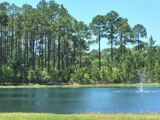 Freeport, Florida 32439, ,Land,For Sale,Sunset Harbour,784155
