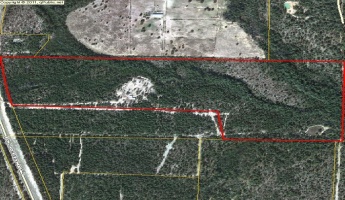 Defuniak Springs, Florida 32433, ,Land,For Sale,US Hwy 331,796546