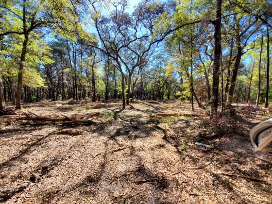 Freeport, Florida 32439, ,Commercial for Sale,For Sale,Hansen,838632