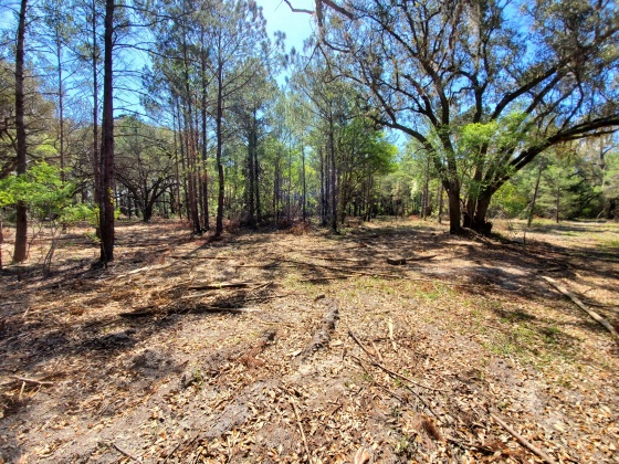 Freeport, Florida 32439, ,Commercial for Sale,For Sale,Hansen,838632