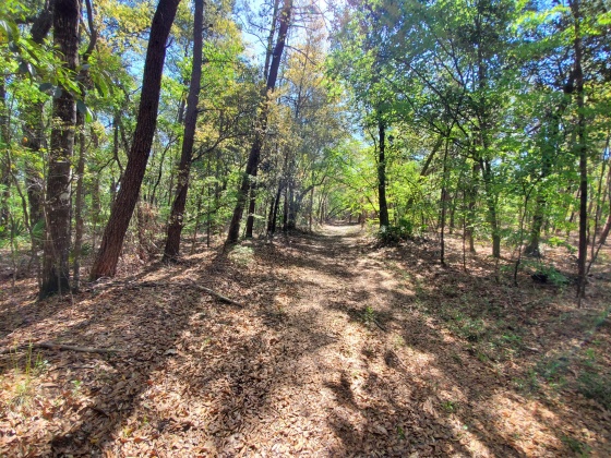 Freeport, Florida 32439, ,Commercial for Sale,For Sale,Hansen,838632