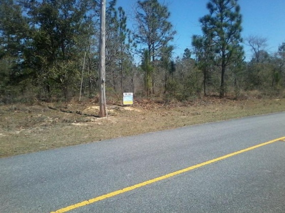 Chipley, Florida 32428, ,Land,For Sale,Covington,752026