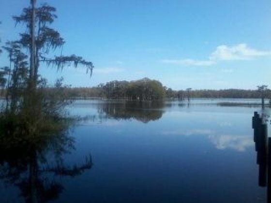 Chipley, Florida 32428, ,Land,For Sale,Covington,752026